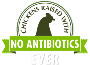 no antibiotics